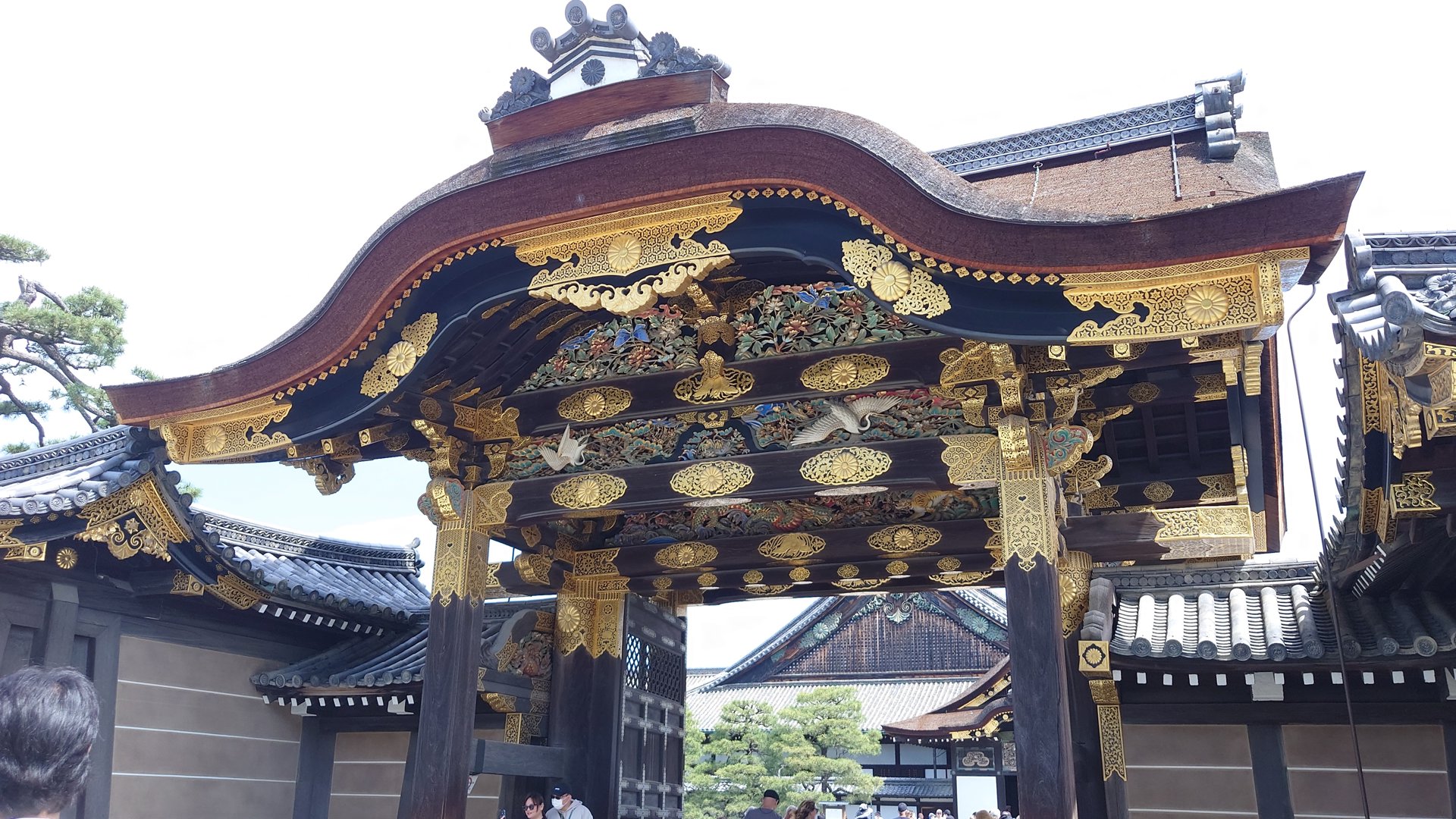 AndyHotDog 分享的打卡照片